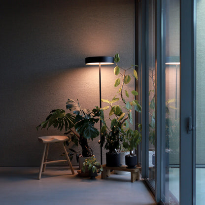 Glow LED-floor lamp 設置事例