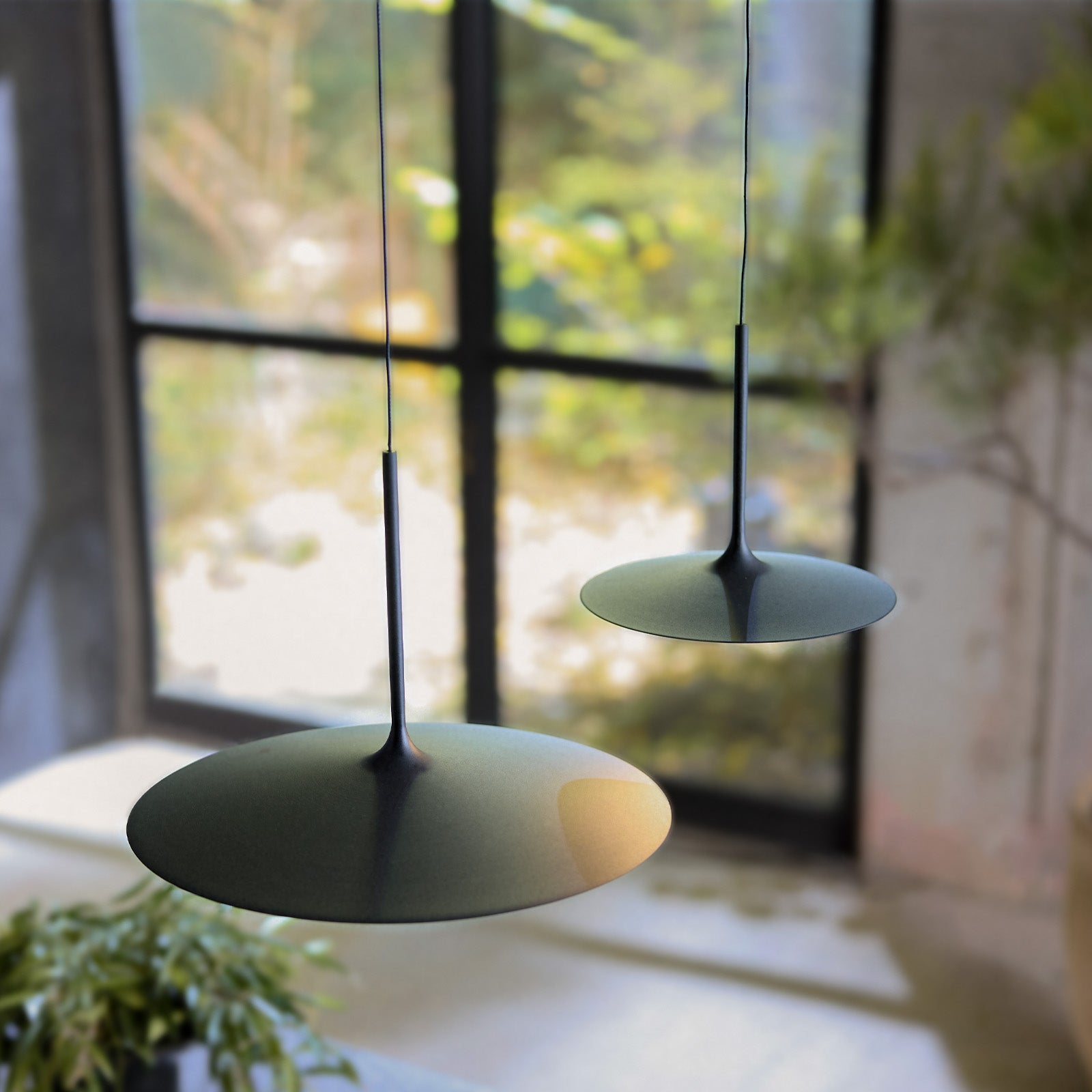 Shadow LED-lift pendant light S / L