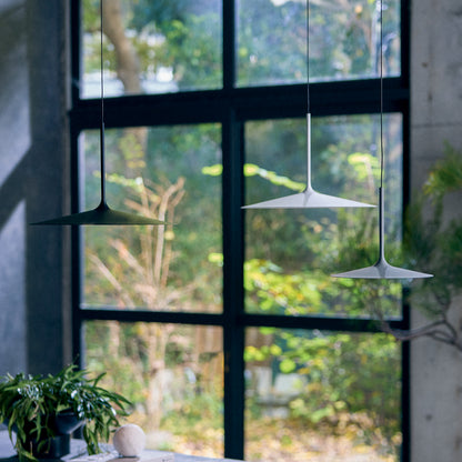 Shadow LED-lift pendant light S / L