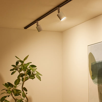 Grid-swingable duct down light ホワイト 点灯時