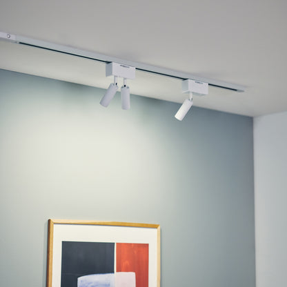 Grid slim 2-duct down light