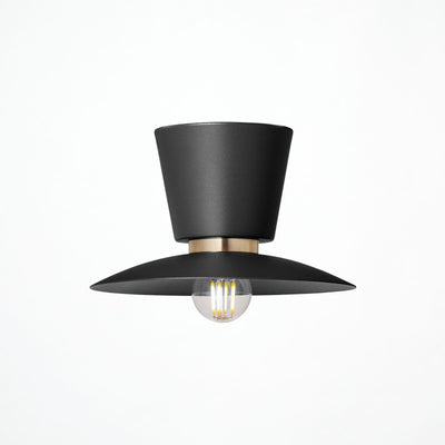 Probe-ceiling light (S)