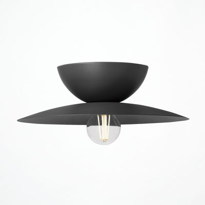 Probe-ceiling light (L)